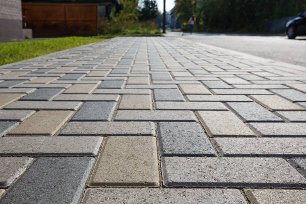 Best Driveway Paver Repair  in Moyock, NC